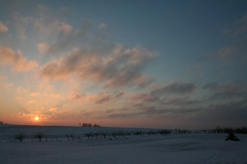 20060108: Solnedgang over markerne.